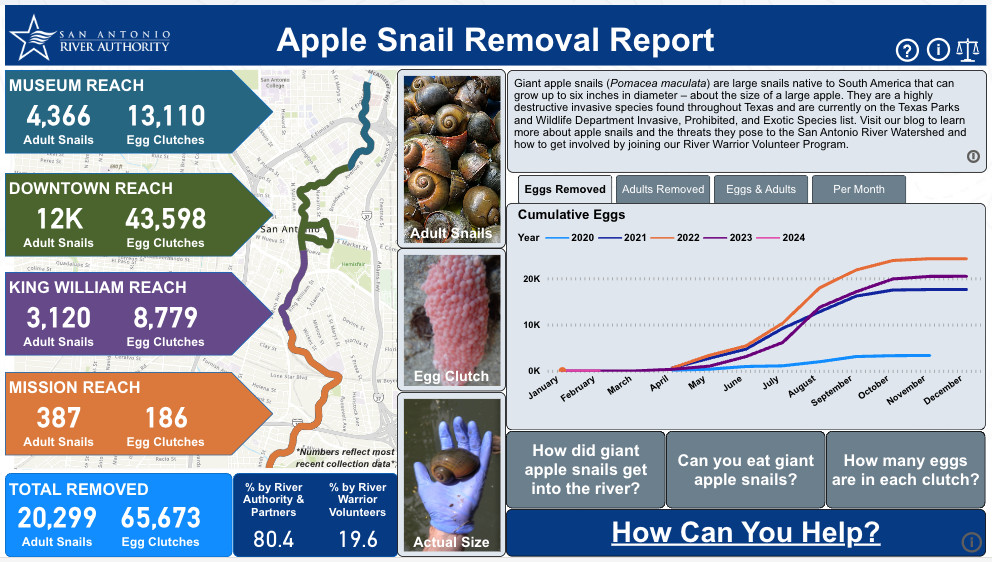 Apple Snail Dashboard